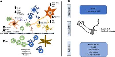 Expanding the Potential Therapeutic Options for Remote Ischemic Preconditioning: Use in Multiple Sclerosis